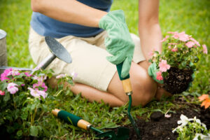 taking-care-of-your-lawn-and-garden