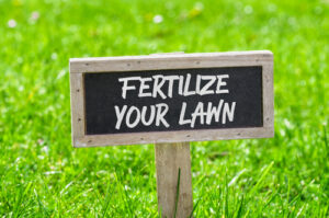 importance-of-fertilizing-your-lawn